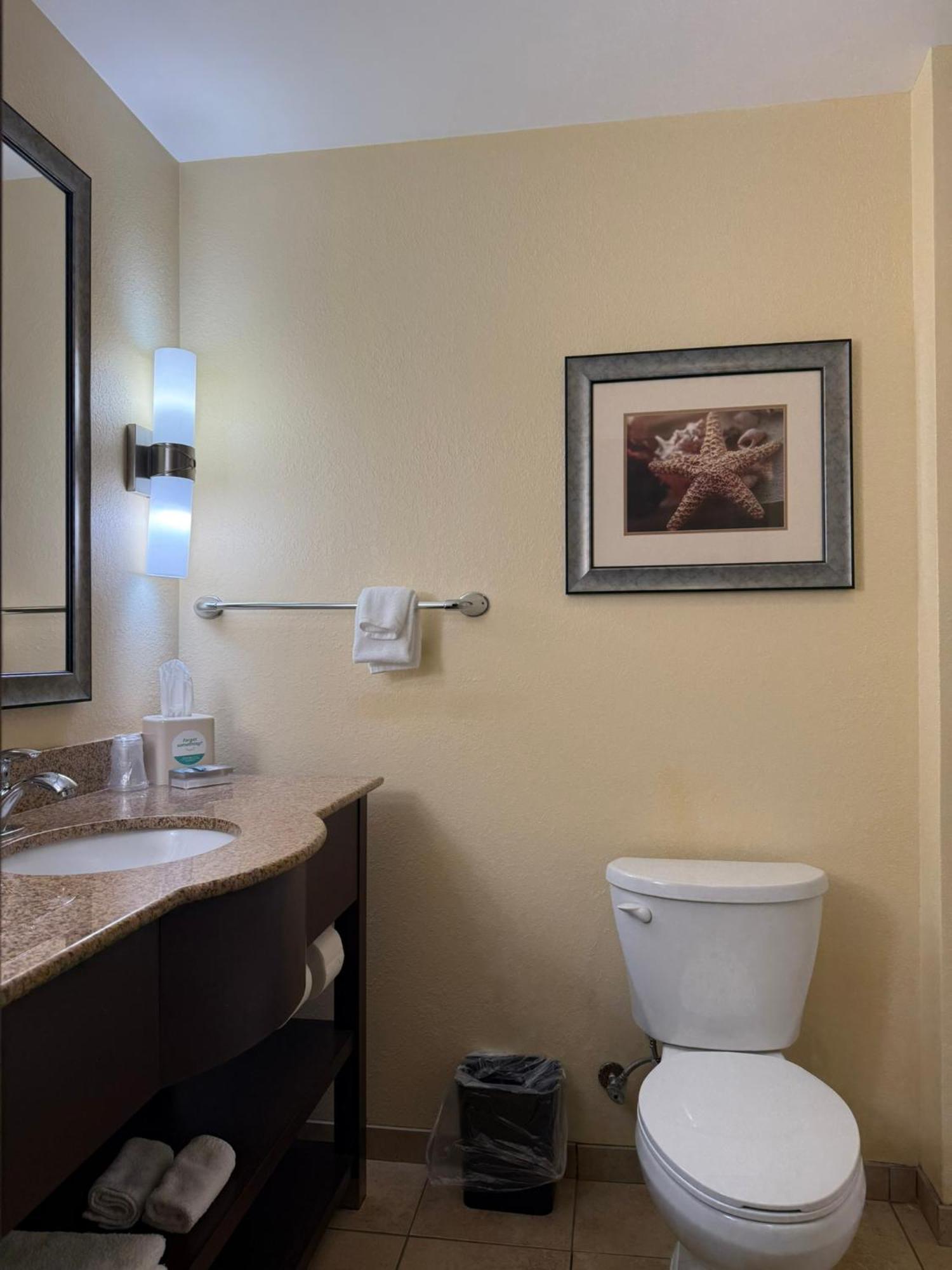 Holiday Inn Titusville/Kennedy Space Center By Ihg Ngoại thất bức ảnh